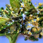 asparagus salad